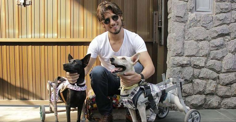 Daniel Rocha se torna padrinho de ONG de animais