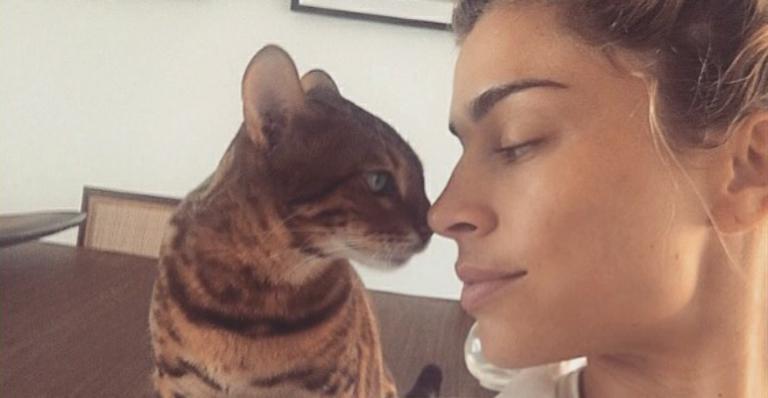 Grazi Massafera posa com o rosto colado em gatinho: “Ele está levando a sério esse negócio de sedução”