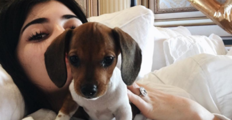 Kylie Jenner ganha um cachorrinho de presente de aniversário