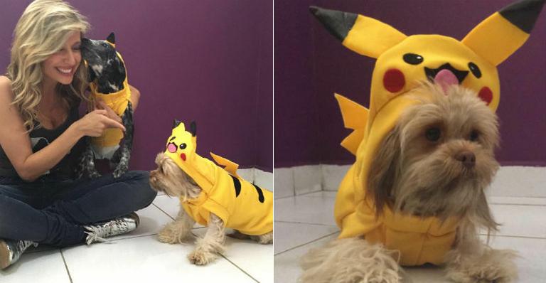 Luisa Mell promove feira de adoção de ‘Pokédog’ em São Paulo