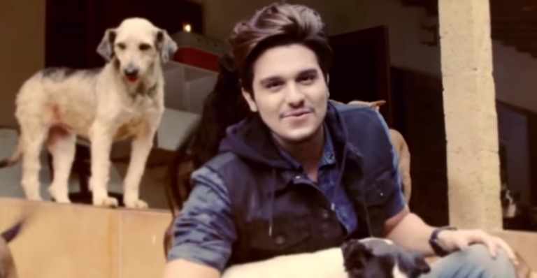 Luan Santana participa de ação em prol de animais abandonados