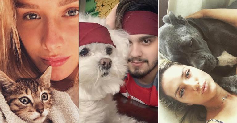 Muita fofura! Conheça os bichinhos de estimação dos famosos