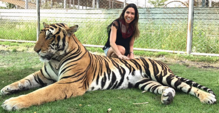 Que coragem! Patricia Abravanel posa ao lado de tigre: “Mais novo amigo!”
