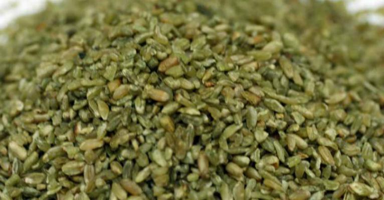 Freekeh: conheça o supergrão que faz bem para a saúde e ajuda a emagrecer