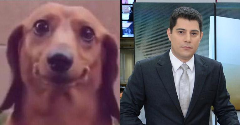 Evaristo Costa escolhe cachorro como sósia: “Evaristinho”; entenda!