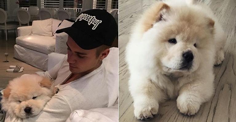 Justin Bieber abandona seu cachorro de estimação