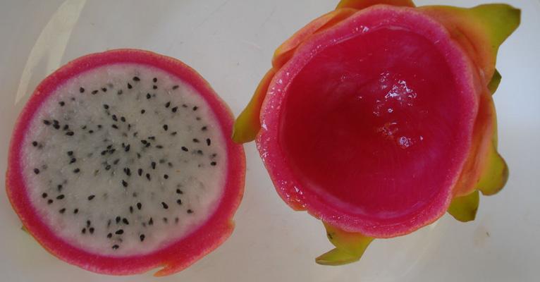 Pitaia: veja os benefícios desta fruta deliciosa que acelera o metabolismo e ajuda a emagrecer