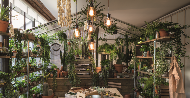 Décor sustentável é tendência para as metrópoles