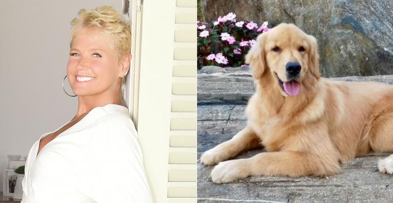 Xuxa apresenta a nova cadela da família, Dana