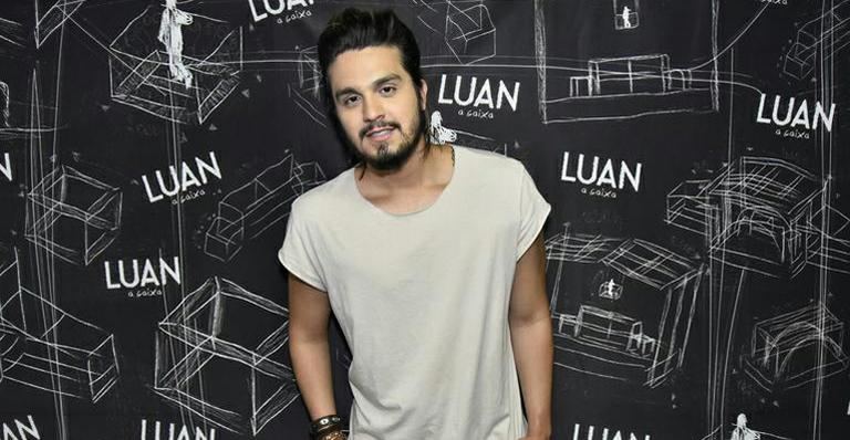 Luan Santana faz homenagem a fãs após acidente em show: “Foi um susto”