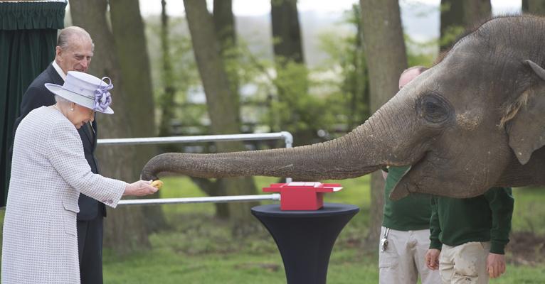 Rainha Elizabeth e Príncipe Philip alimentam elefantes em centro de proteção animal na Inglaterra