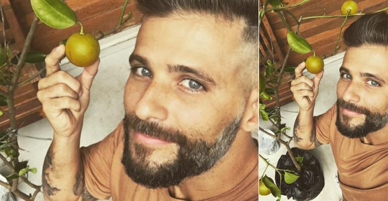 Bruno Gagliasso ganha limoeiro como presente de aniversário