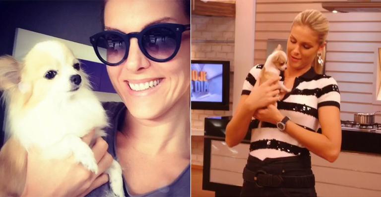 Ana Hickmann lamenta a morte da cadela Penelope