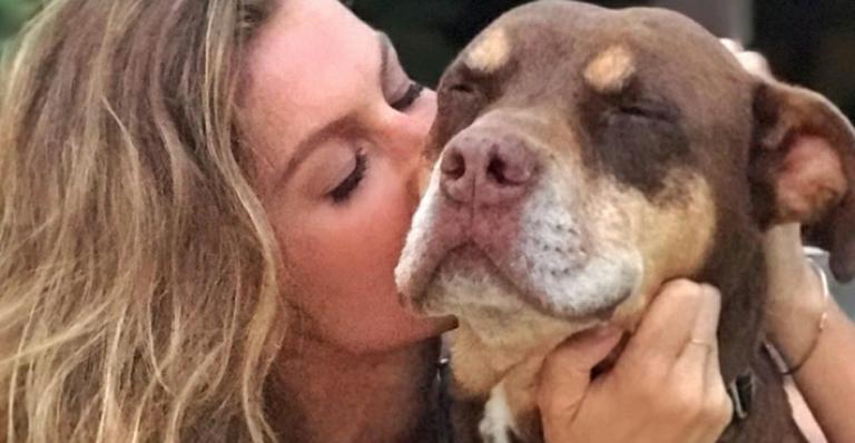 Gisele Bündchen mostra momento de carinho com sua pit bull