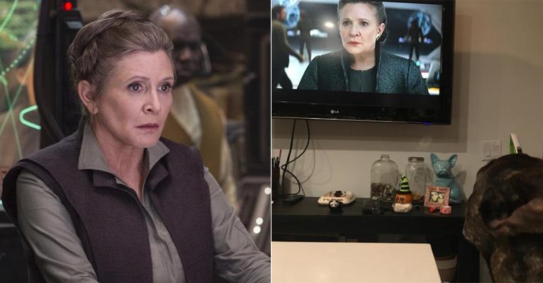 Emocionante! Cachorro inseparável de Carrie Fischer assiste trailer de novo Star Wars concentrado