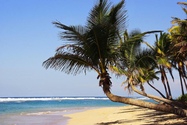 Punta Cana: praias paradisíacas e cassinos