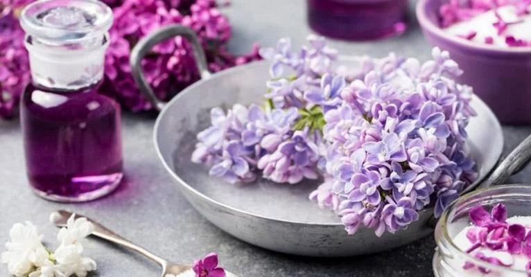 Saiba qual é o aroma ideal e que combina com cada mês do ano!