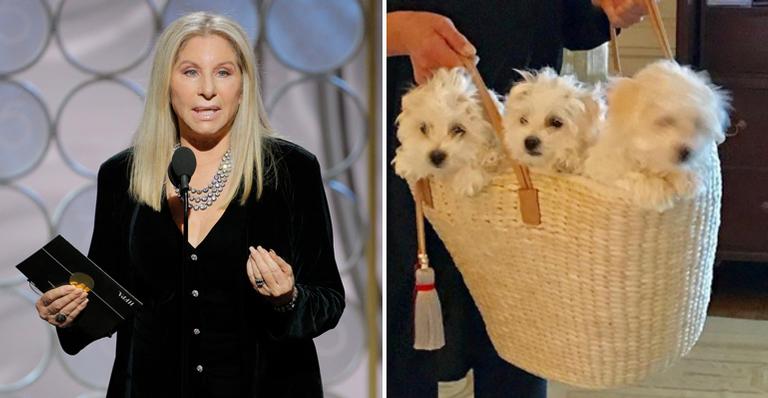 Barbra Streisand afirma que seus cães são clonados; entenda