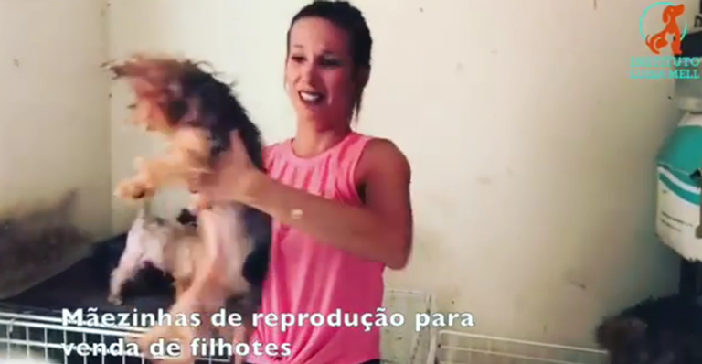 Luisa Mell descobre novo canil em péssimas condições com os animais: ‘Outro show de horrores’