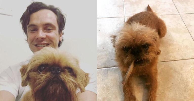 Conheça o cachorro de Sergio Guizé, Gustavo, e se apaixone por ele!