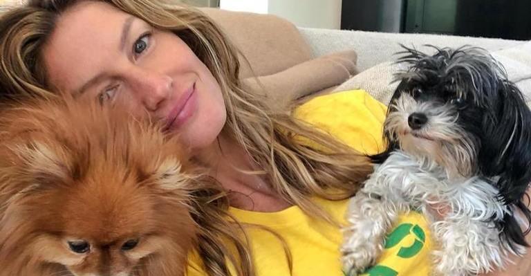 Gisele Bündchen comemora gols da Seleção Brasileira com vídeos animados