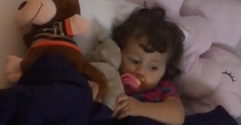 Fofura! Madalena é flagrada indo dormir na sua caminha
