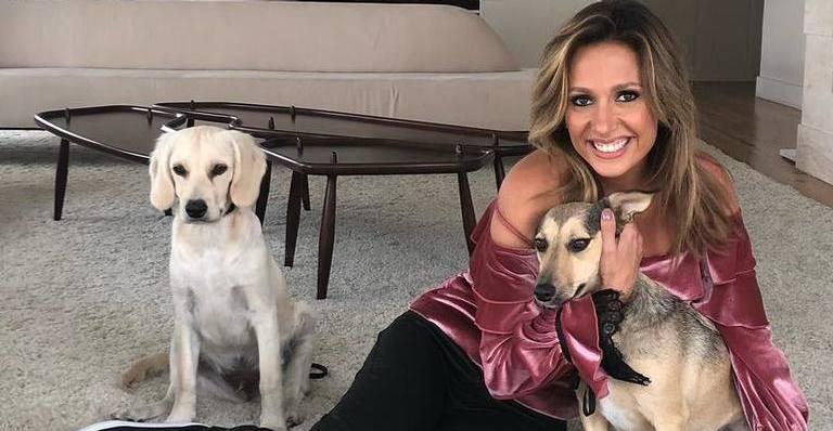 Demissão relâmpago: Luisa Mell perde programa antes mesmo de começar a gravá-lo