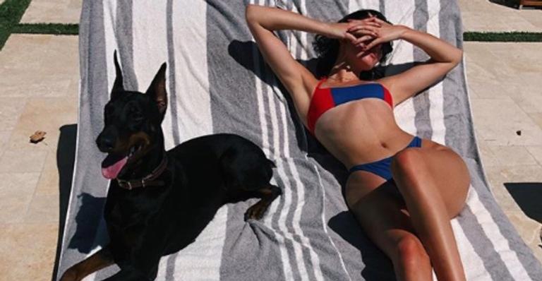 Cachorro de Kendall Jenner morde criança em restaurante