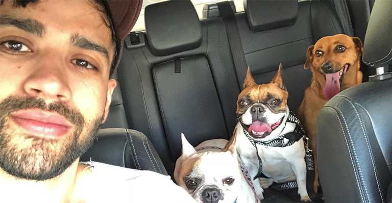 Gusttavo Lima entrega incidente envolvendo seus funcionários e sua cachorra: ”Brava”
