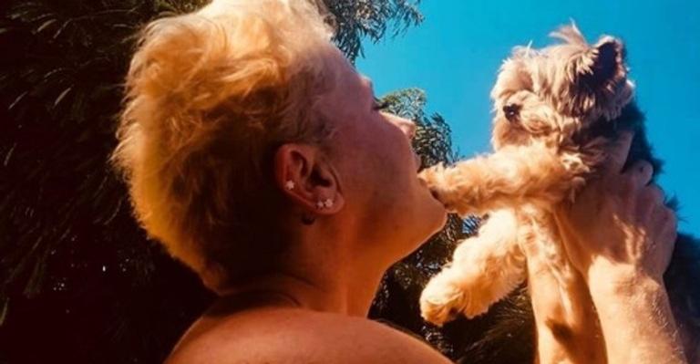 Xuxa é surpreendida por sua equipe com festa-surpresa para seu cachorro, Dudu