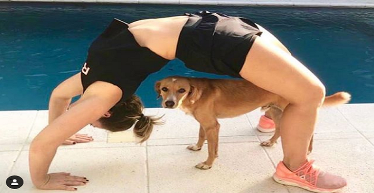 Paolla Oliveira posta foto divertida com cachorro e diverte seguidores
