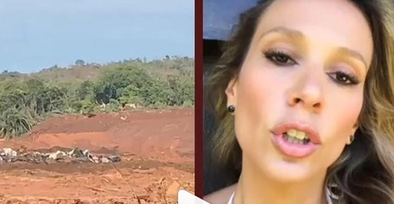 Luisa Mell denuncia ação de equipes ao ver tiros em animais em Brumadinho: ”Que barbaridade”
