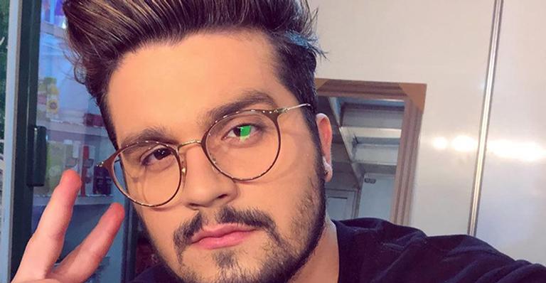 Cachorro de Luan Santana sofre acidente e sobrevive por milagre