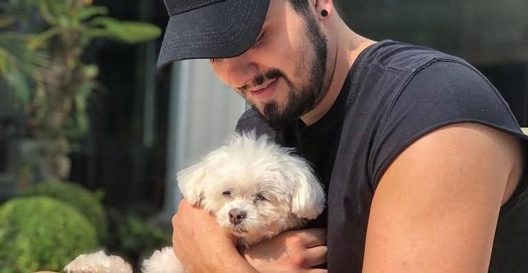 Luan Santana fala sobre seu cachorro ter sobrevivido a acidente: ”Só cortou o queixo”