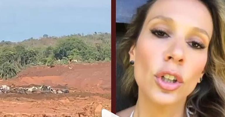 ”Nunca me calarei”, diz Luisa Mell após Vale ser multada por falhas no salvamento de animais