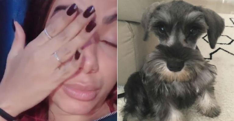 Anitta se emociona ao falar sobre problema de saúde do cachorro de estimação