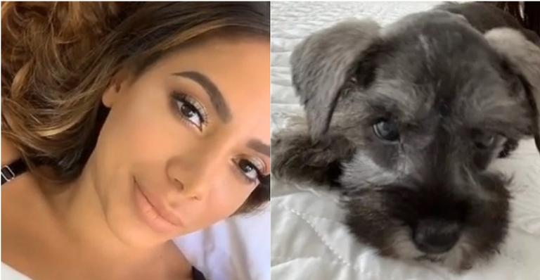 Anitta revela estado de saúde de seu cachorrinho filhote após descobrir problema no coração