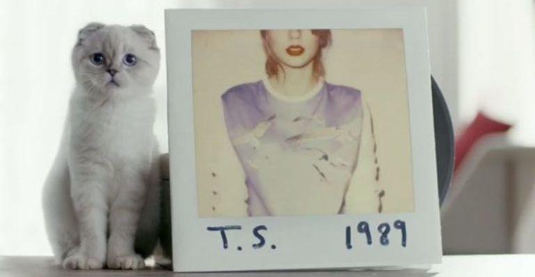 Com fortuna de R$360 milhões, gato de Taylor Swift é 3º animal mais rico do mundo