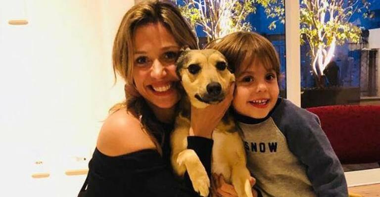 Enzo, filho de Luísa Mell, ajuda em campanha e manda recado para quem maltrata os animais