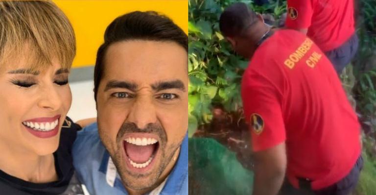 Cobra aparece no programa ‘Mais Você’ e assusta produção
