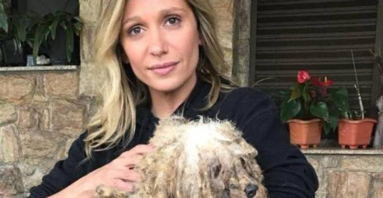 Luisa Mell é apontada como racista por fãs após falar sobre sacrifício de animais em religiões