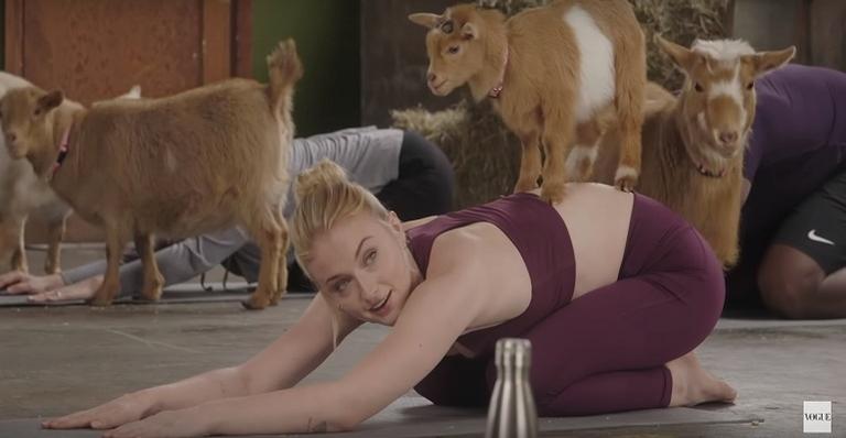 Sophie Turner diz que yoga com cabras é melhor do que ser pedida em casamento
