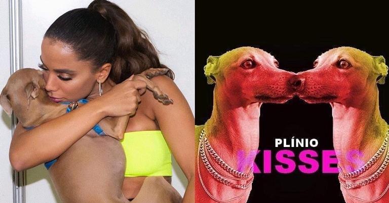 Após receber ameaças de morte, cachorro de Anitta ganha homenagem de fãs: ”Estrela das capas”