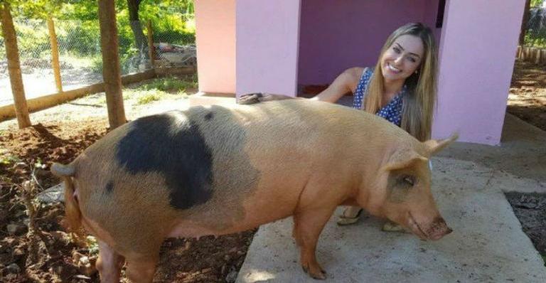 Porca de estimação de Paula recebe visita inusitada de ex-participante do BBB 19