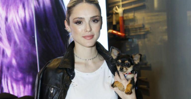 Isabelle Drummond rouba a cena em evento ao lado de pet