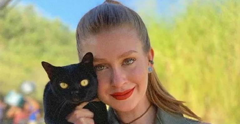 Marina Ruy Barbosa se dá bem e fica com gato preto da novela ”O Sétimo Guardião”