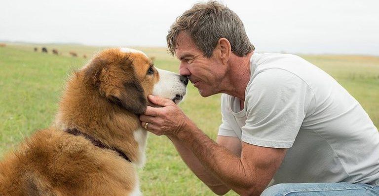 Dennis Quaid choca ao namorar com mulher 39 anos mais nova