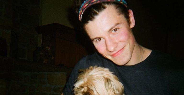Shawn Mendes faz desabafo sobre bullying e recebe apoio de Camila Cabello e Niall Horan