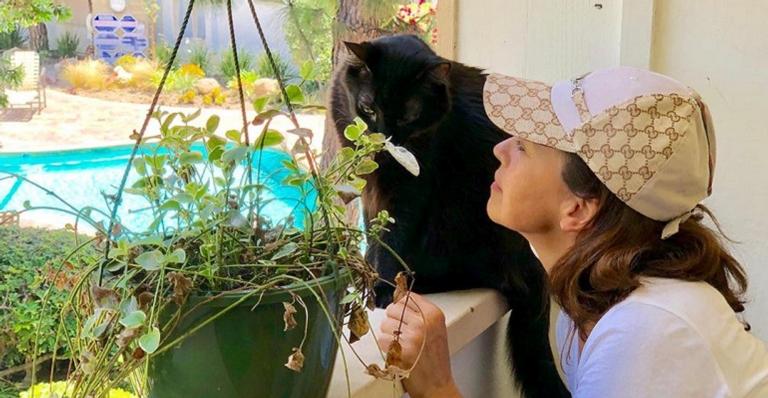 Estrela de ‘América’ revela que quase perdeu a mão após uma mordida de seu gato