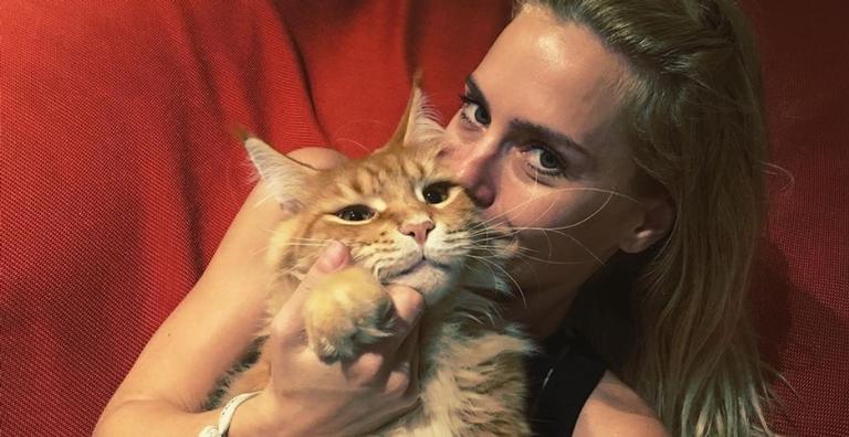 Duas semanas após perder a mãe, Carolina Dieckmann lamenta a morte de gatinho de estimação
